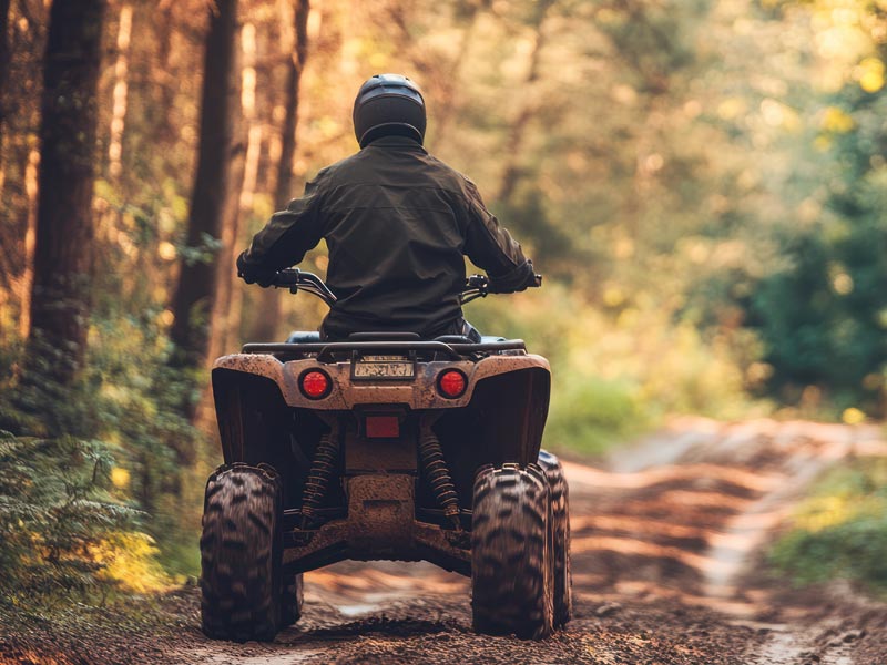 Person riding ATV on forest trail