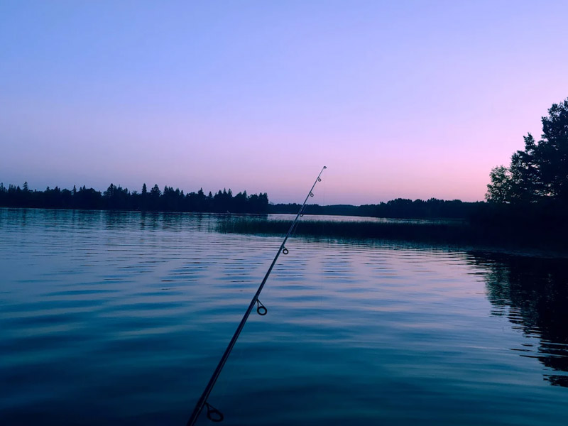 Fishing rod over calm lake at dusk